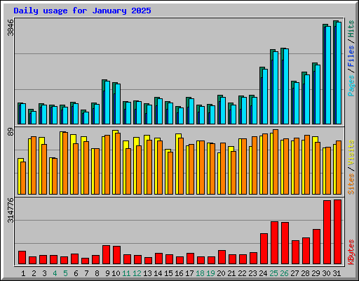 Daily usage for January 2025