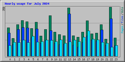 Hourly usage for July 2024