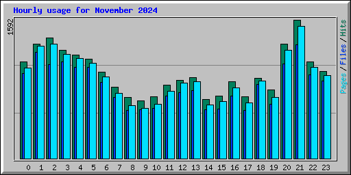 Hourly usage for November 2024