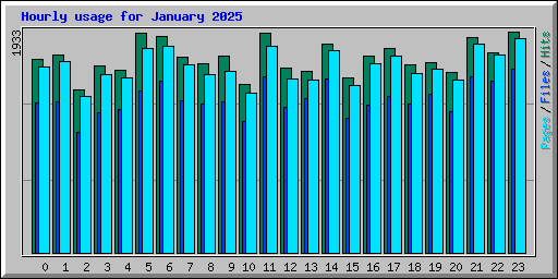 Hourly usage for January 2025