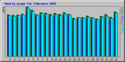 Hourly usage for February 2025