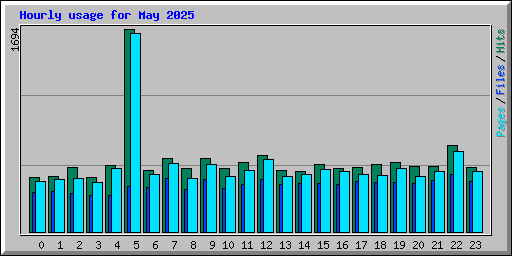 Hourly usage for May 2025