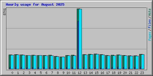 Hourly usage for August 2025