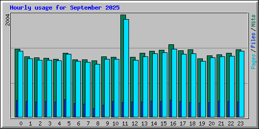 Hourly usage for September 2025